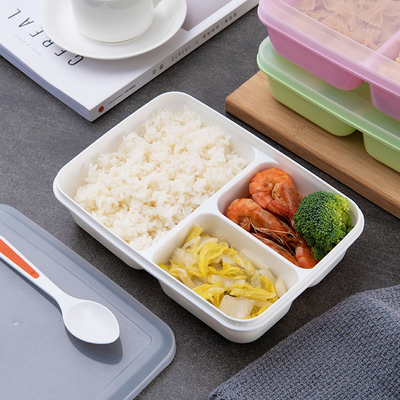 Contenitori di plastica riutilizzabili del pranzo dei bambini, BPA Bento Lunch Box libero