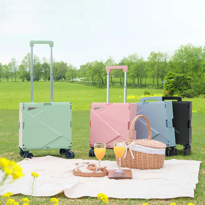 6 ruote che scalano carrello di plastica con Seat Mini Folding Hand Luggage Cars