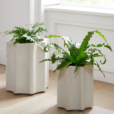 Vaso e piantatrice di fiore di plastica di Rotomoulding con servizio dell'OEM