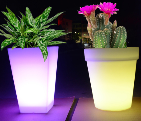 Vaso e piantatrice di fiore di plastica di Rotomoulding con servizio dell'OEM